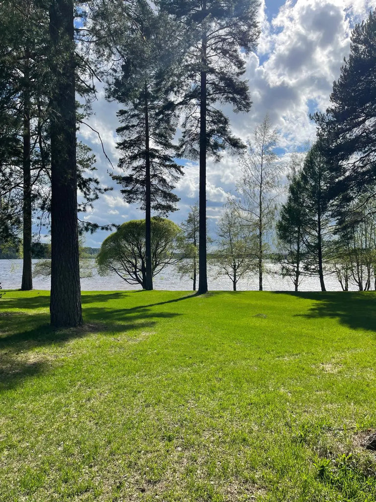 Loma-asunto katinkulta alkuperäinen alue - Kuva 4